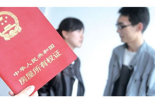 《第二十条之婚姻沼泽难自拔》