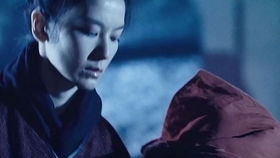 《精武风云》：甄子丹如何重塑陈真传奇？