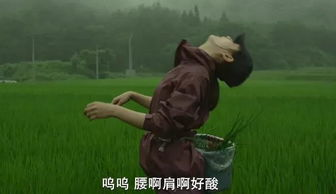 《糟糕，离婚后我与前夫换位人生》
