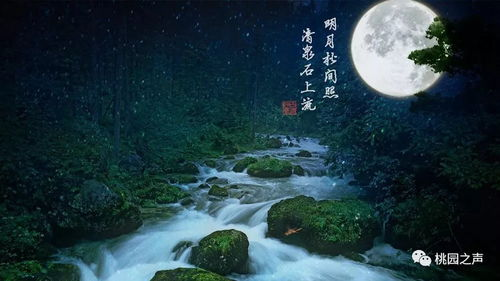 《何不秉烛游》：一场关于生命与自由的诗意追