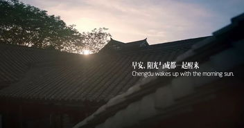 《一路繁花2025》：繁华都市中的温情救赎，你准