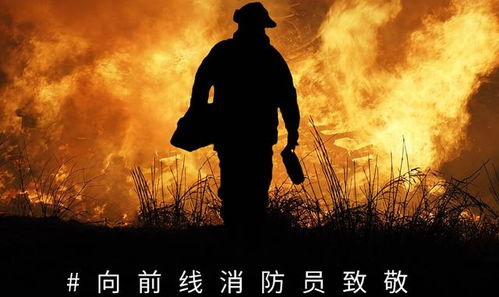 《中国武术王中王》：功夫电影的新巅峰还是老