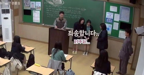 《名侦探学院 第八季》：高能推理与爆笑互动的