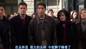 《团建不能停》：职场人的笑与泪，你真的看懂