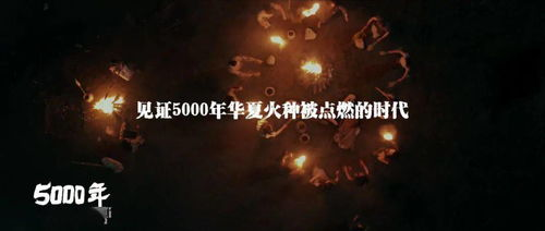 《钱信伊：就是爱恨》——一场笑中带泪的喜剧