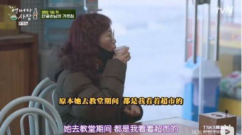 《山水间的家第三季》：田园牧歌还是现代乌托