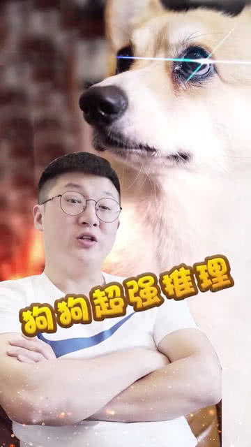 《萌探2024》：这部国产综艺凭什么成为年度爆款