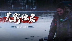 《荒野独居第七季》：孤独与生存的极限挑战，
