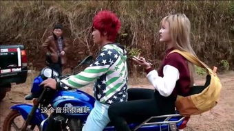 都市精英的乡村变形记