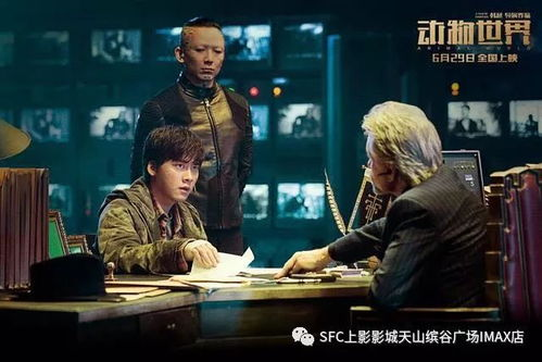 《艾伦·德杰尼勒斯：感同身受》——笑中带泪的