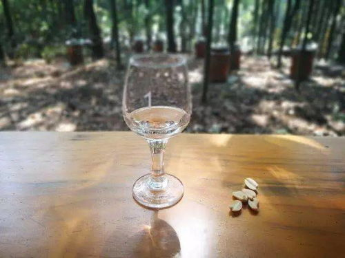 《王牌调酒师》：一杯鸡尾酒里的梦想与救赎