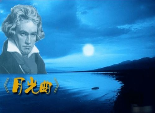 《荒岛兄妹》的故事梗概与主要人物