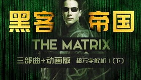 《黄金鱼》：一场关于欲望与救赎的深海迷局