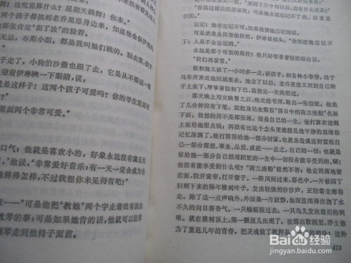 校园文学代表作的价值解析