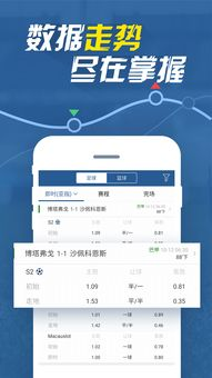 即时比分概览