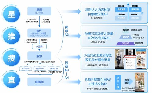直播渠道的选择