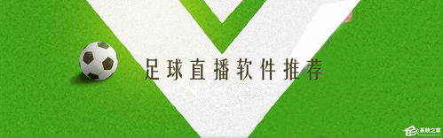 足球直播软件选择