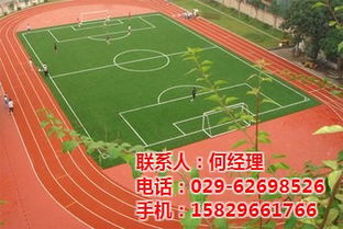体育设施概览