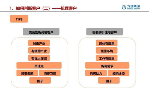 海洋巨兽的官方指南：鲸鱼体育官方下载