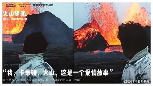 《龙狼血战》：一场跨越种族的史诗对决，还是