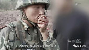 《黑道少林》：当江湖遇上佛门，暴力与救赎如
