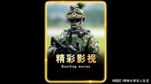 《黑狐之绝地营救》：孤胆英雄的生死时速，还