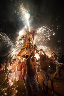 《黑兰花》：神秘与救赎的暗夜绽放