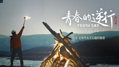 《黄沙绿浪》：荒漠中的生命奇迹，你被震撼了