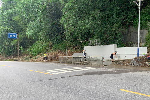 《漫长的回家路》：一场跨越千里的亲情救赎，