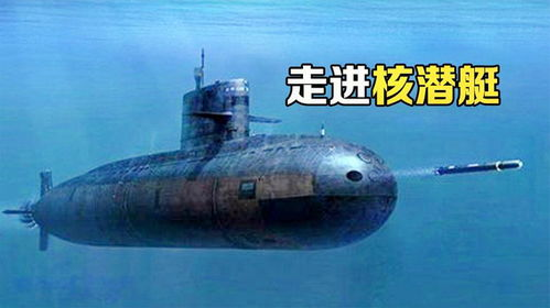 《潜艇总动员：寻龙预告片》揭秘：深海冒险还