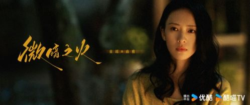 《消失的她们》：悬疑与情感交织的女性救赎之