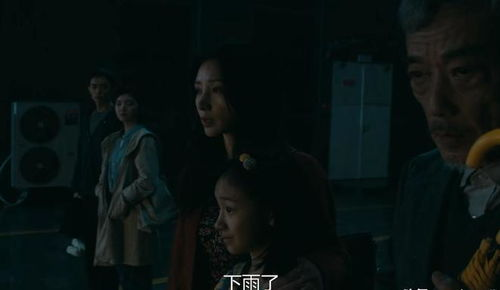 《林间见鹿清风知否》：一部治愈心灵的森林童