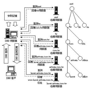 优化DNS协议与缓存策略