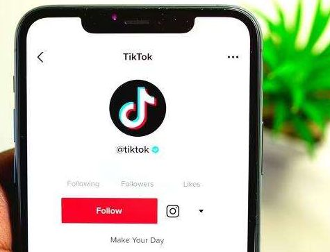 TikTok账号与域名统一的重要性