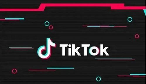 实施TikTok账号与域名统一的策略