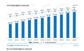 中文域名的市场优势分析
