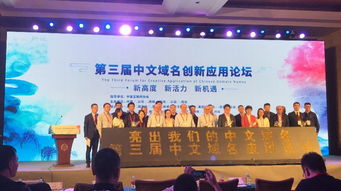 中文域名实战应用策略