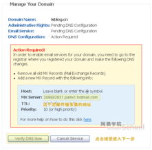 中文域名管理维护要点