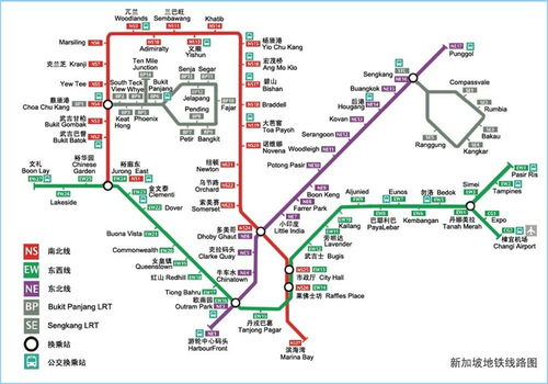 新加坡节点的技术特点