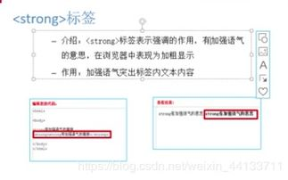 高权重老域名的评估与选择技巧
