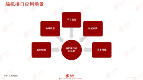 脑机接口需求重塑短域名价值，数字资产迎来新机遇