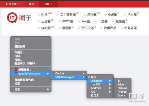 实施.UA域名的关键步骤