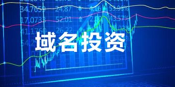 对域名投资市场的影响