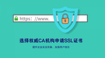 如何充分利用免费SSL服务？