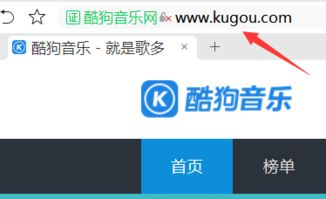 .MUSIC域名的战略价值