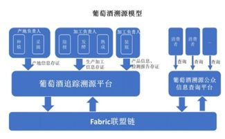 WINE域名防伪溯源系统的市场价值