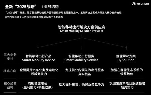 战略实施的三大支柱