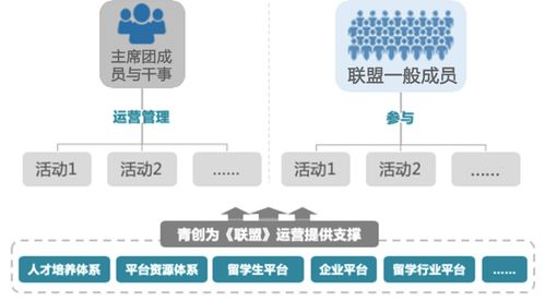 联盟成员构成与组织架构