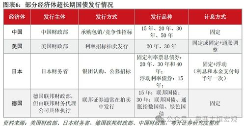 国际比较与长期影响