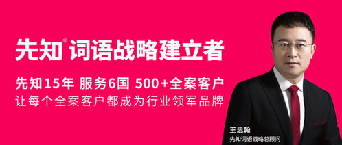联盟的核心价值与战略定位